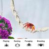 Jumping Spider Bridge 2 Pieces Cotton Rope Natural Hammocks Jumping Spider Accessories For Walking Camping Travel Daily Airplane