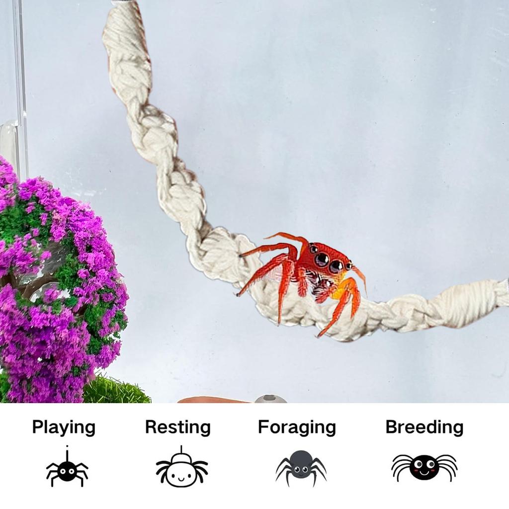 Jumping Spider Bridge 2 Pieces Cotton Rope Natural Hammocks Jumping Spider Accessories For Walking Camping Travel Daily Airplane