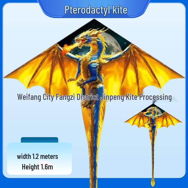 Winged Dragon Kite: High-End Cartoon Kite for Kids