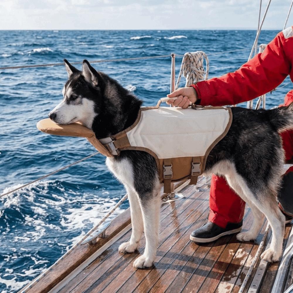 High Buoyancy Dog Life Jacket Breathable Dog Flotation Vest Dog Surfing Suit Dog Safety Vest Beach