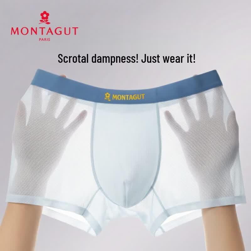 

MONTAGUT Men s Ice Silk Seamless Antibacterial Boxer Briefs 3XL