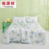 Hengyuanxiang Class A Washable Antibacterial Summer Quilt
