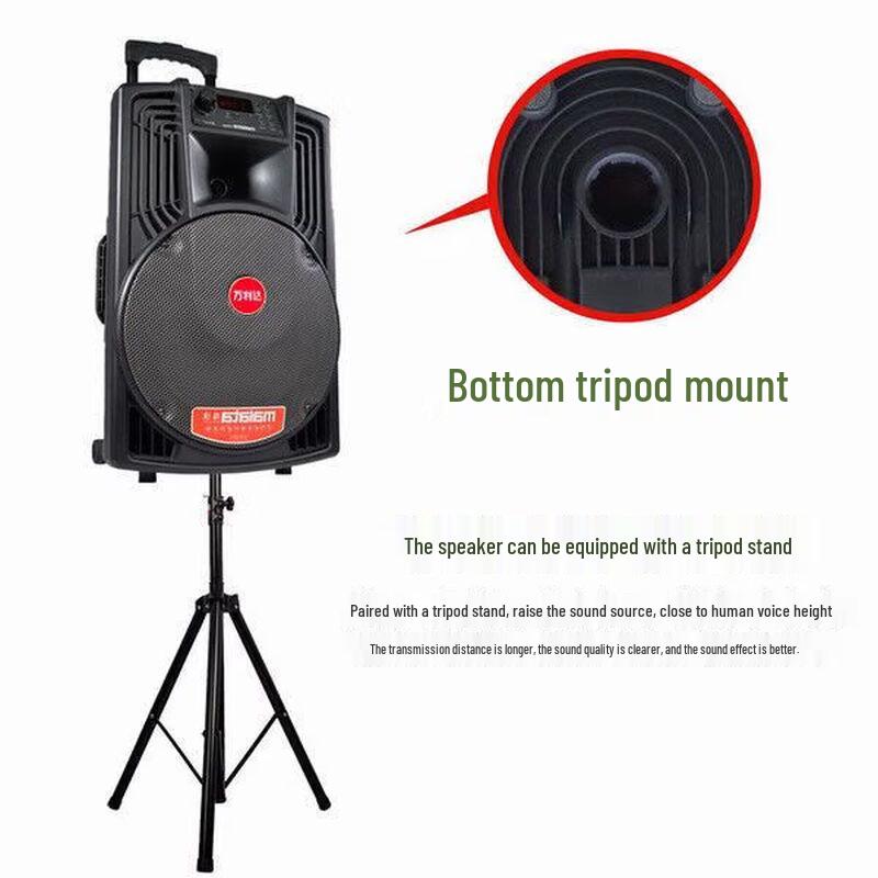 Malata Professional Portable Karaoke System CN plug (adapter included) (CN version)