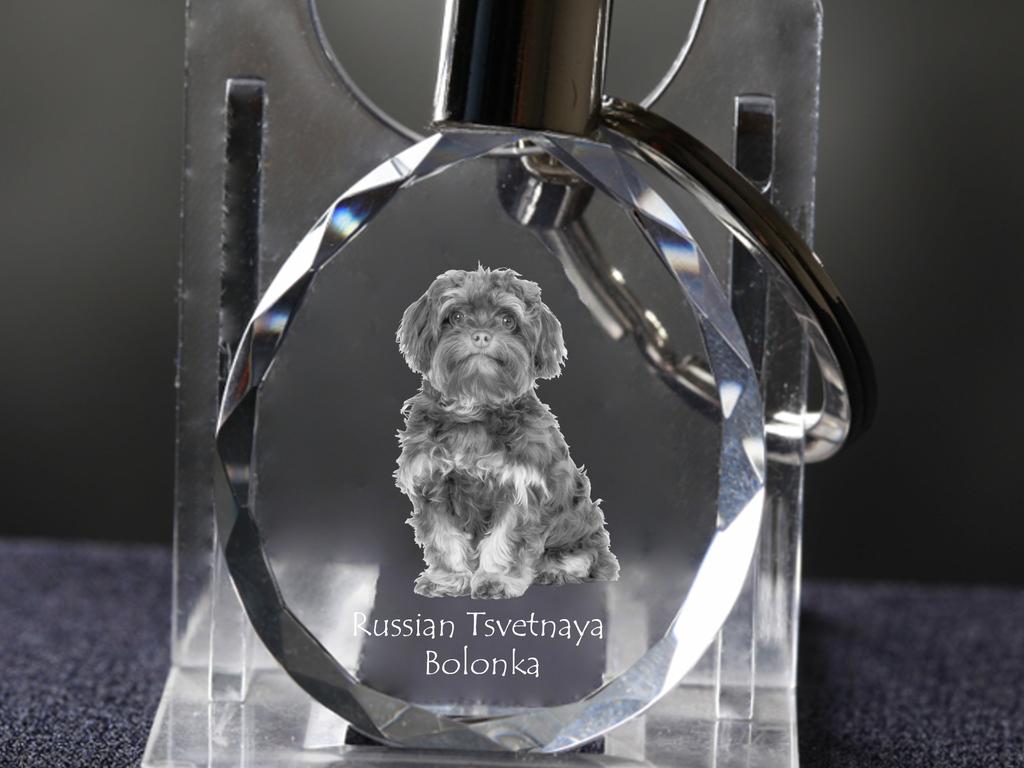 Bolonka, Russian Tsvetnaya Bolonka - Pendant with a Photo of a Dog, Crystal Key Ring In a Gift Box, a Unique Gift by Art-Dog