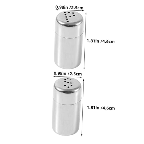 Alipis Stainless Steel Condiment Containers, Compact Salt and Pepper Shakers with Wear-Resistant Airtight Lids for Home and Outdoor Use, Set of 2
