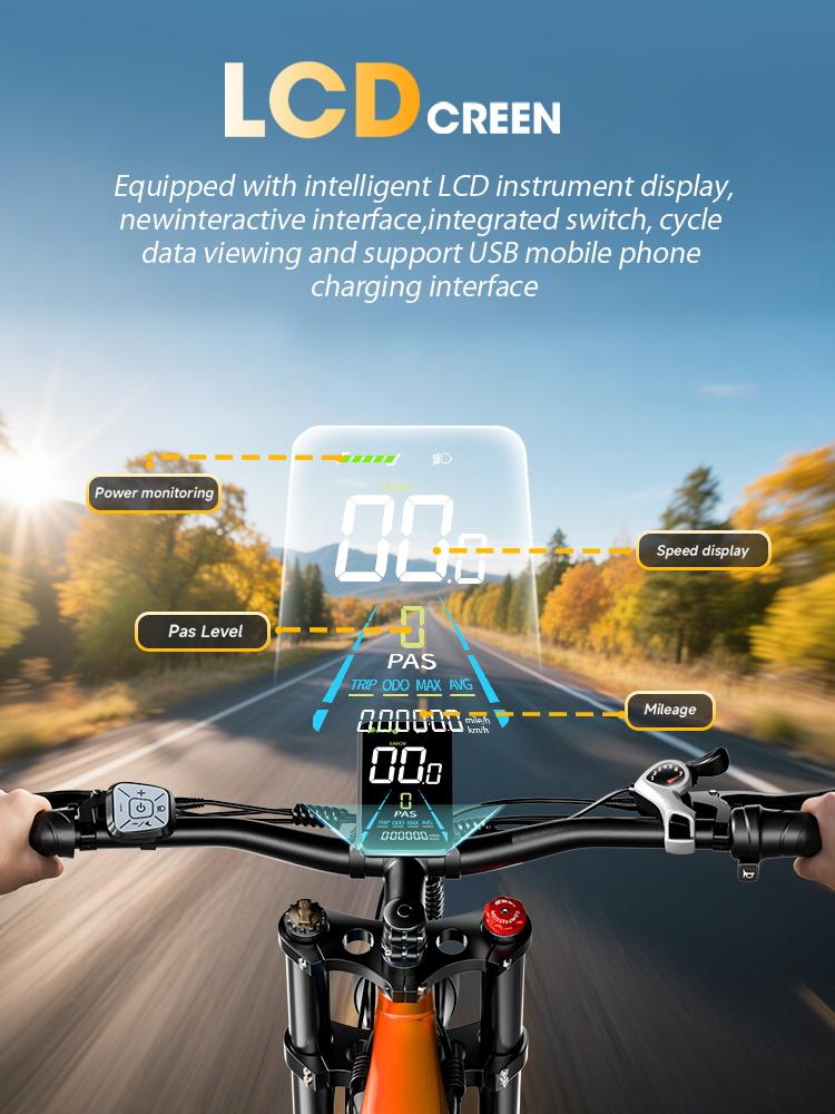 PULUMA PE86 Electric Bicycle 26*3.0 Fat Tire 48V20AH Battery 2000W Motor 50KM/H Torque Sensor Electric Bike Throttle Ebike VTT