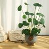Decorative Artificial Faux Plants Floral Fake Lotus Leaves  Living Room Ornaments