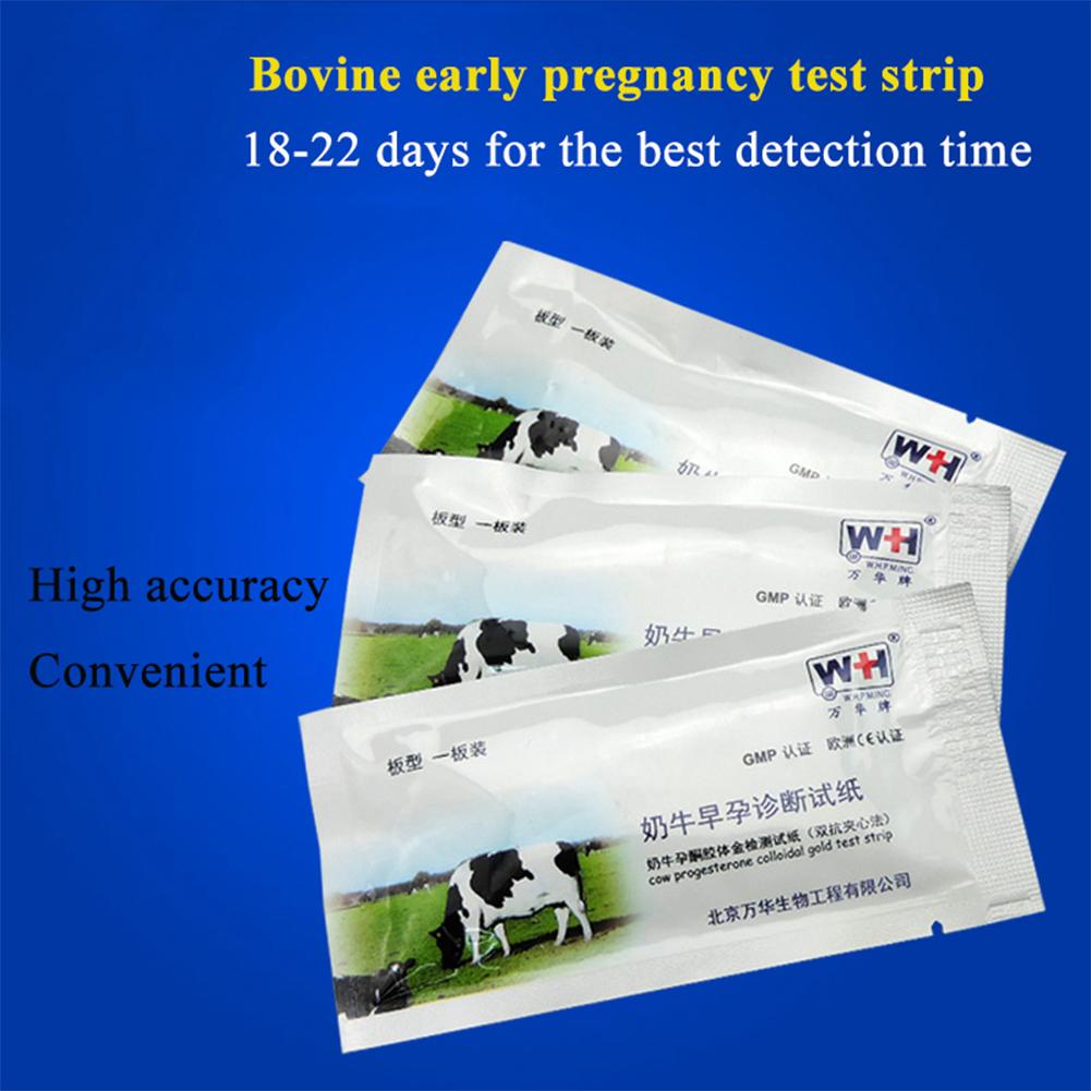 Cow    Test  Paper High Accuracy Livestock Disposable Early Pregnant Detection Testing Tool Veterinary Farm Equipment