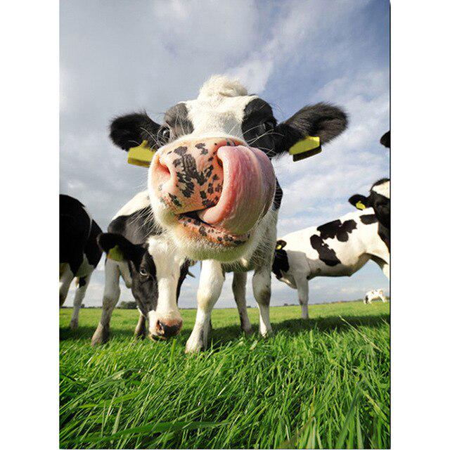 5D DIY pictură cu diamant vacă punct de cruce complet pătrat/rotund broderie diamant broderie animale stras imagini cadou de artizanat