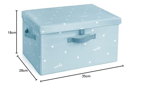NEOVIVA SOLA Storage Box with Lid, Cute Foldable, Perfect for Toys, Clothes, and Accessories, Blue, Small