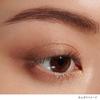 LUNASOL Eye Coloration N 13 [Eyeshadow] Sepia Amber