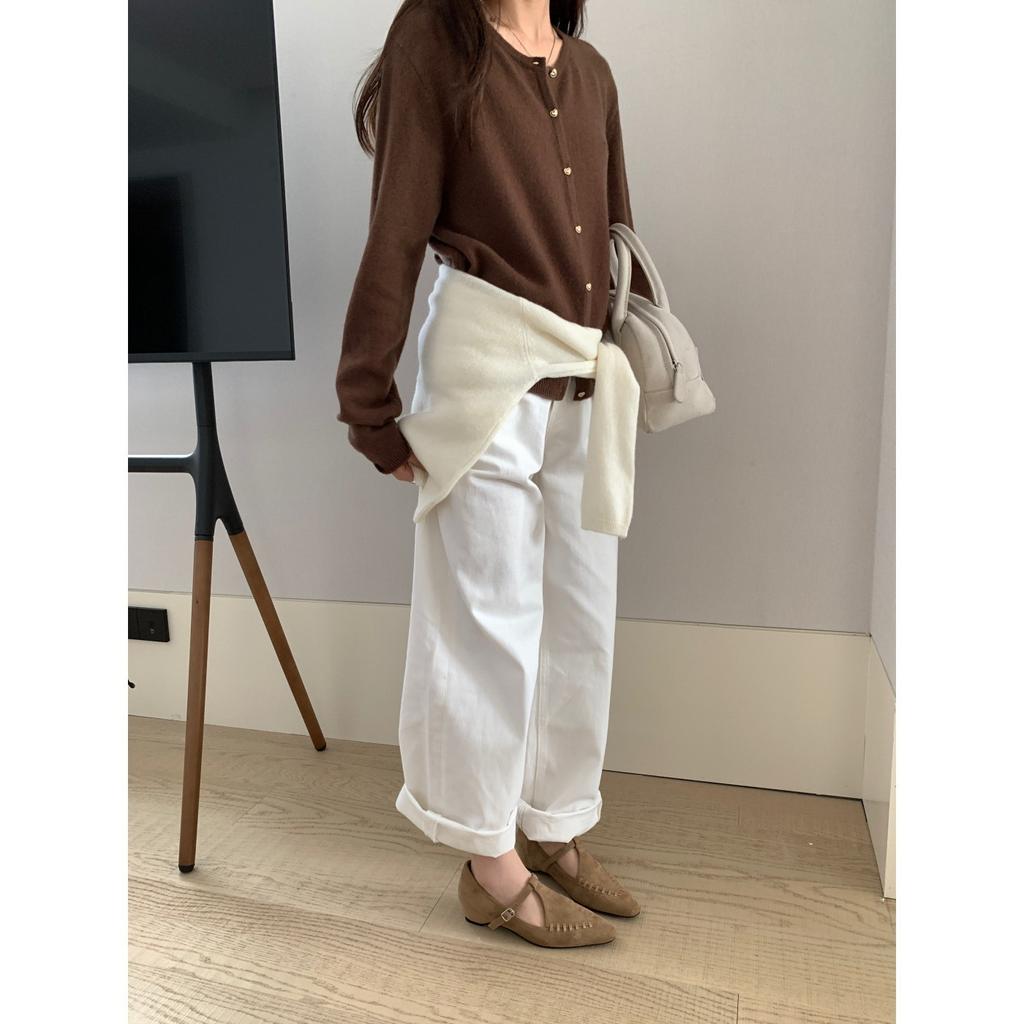 Inner Height Increase Retro Temperament Single Shoes Women's Shoes Spring and Autumn 2025 New Models with Skirts Mary Jane Shoes