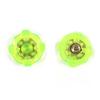 KNK Soft Spikes Cleats Spikes for Cricket with Spanner Screw Firm Grip 8 Pieces TPU Studs, Universal Size To Fit All Cricket Shoes (Green, One Size)