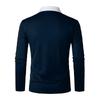 Color Blocked Pattern Digital Design Fashionable Men's Long Sleeved Polo Shirt Spring and Autumn Casual Daily Outdoor 100% Polyester Fiber
