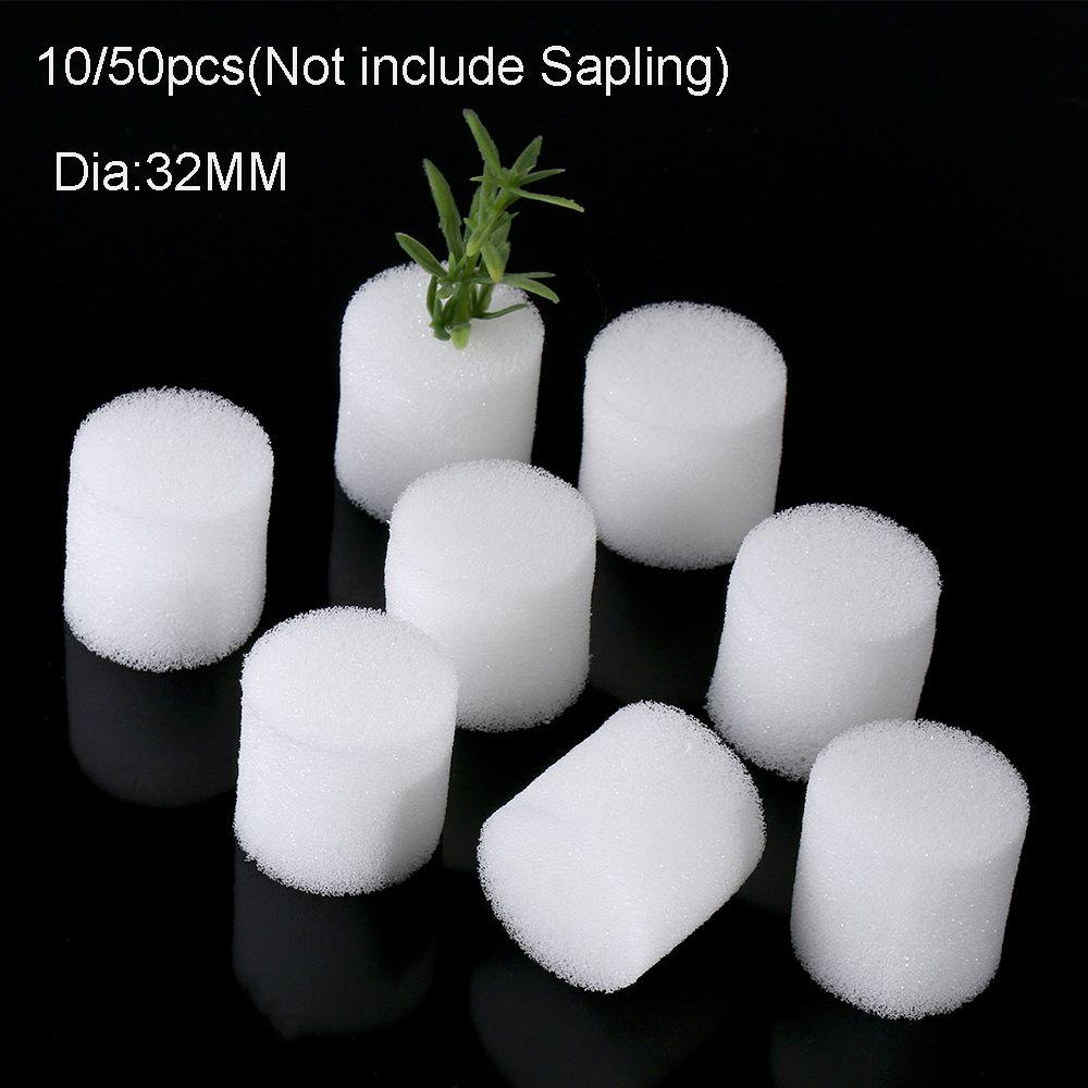 10/50pcs Hot Sell Planting Cultivation Flower Pots Seed Trays Soilless Hydroponic Nursery Sponge
