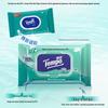 Tempo Sanitizing Wipes