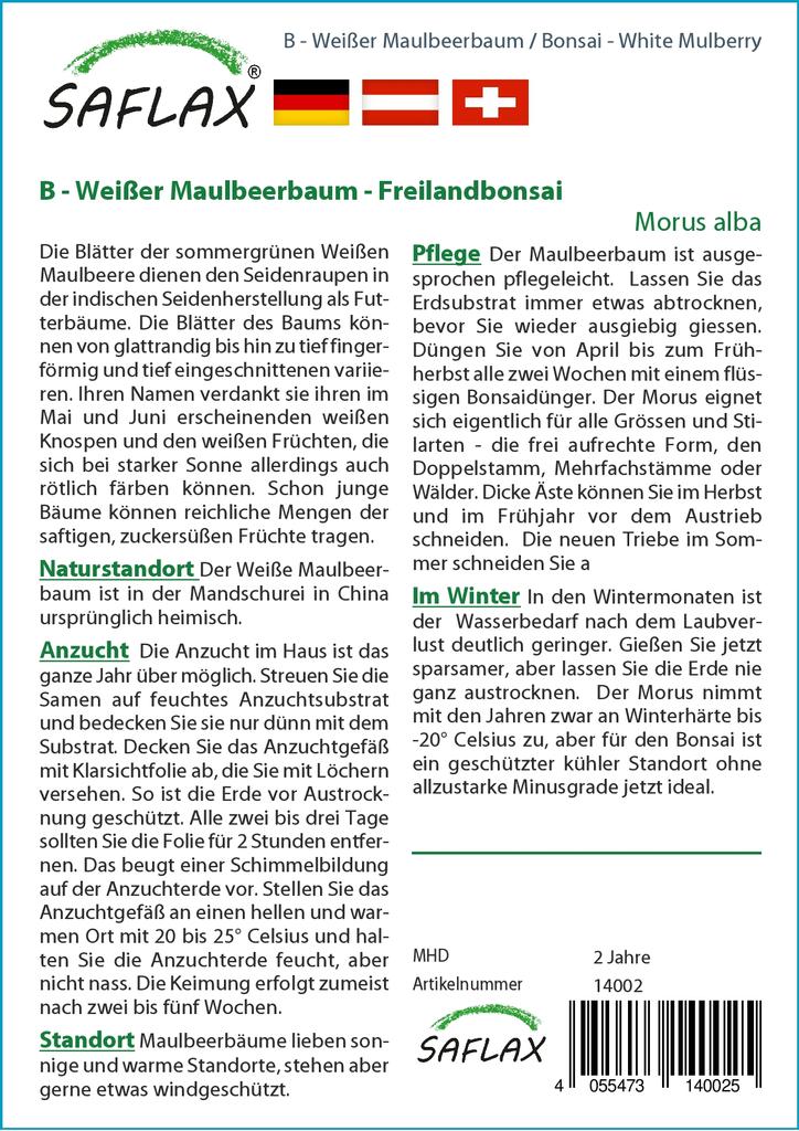 SAFLAX Bonsai - Moruše bílá - 200 semen - Se substrátem pro lepší pěstování - Morus alba