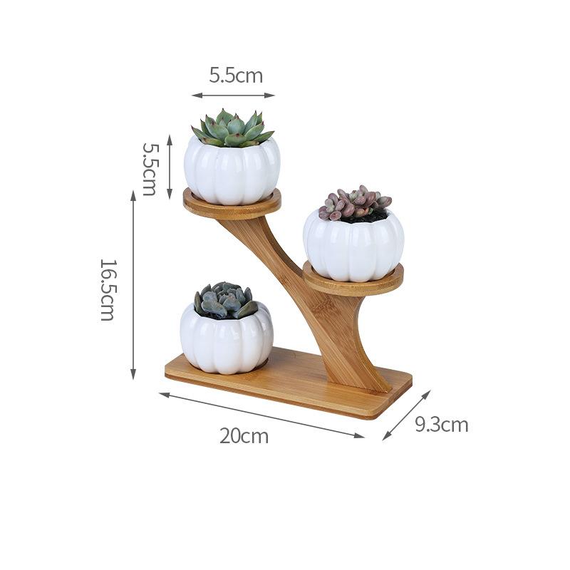 Plant Shelves Flower Display Stand Creative Succulent Plant Owl Pumpkin Bamboo Frame Ceramic Flowerpot Plant Tray