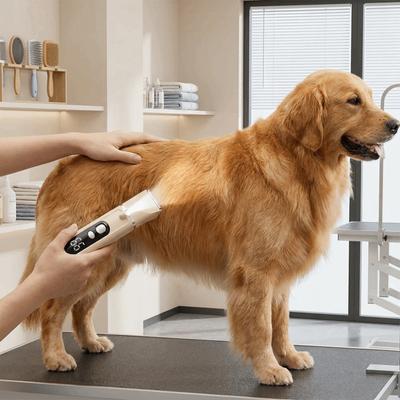 Professional Pet Hair Clipper Low Noise USB Rechargeable Dog Grooming Trimmer Cordless Pet Nail Grinder Dogs Haircut