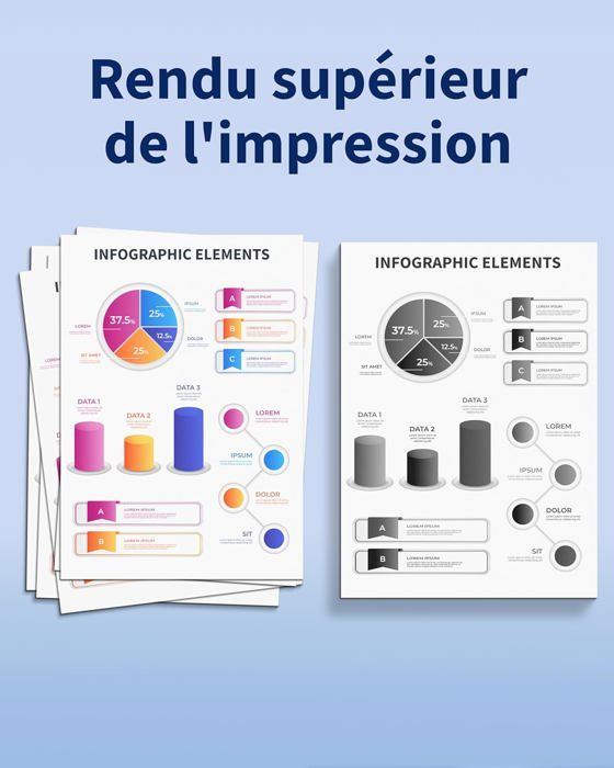 Cartouches d'encre 29XL - CHOUMICHA - Compatible Epson - 12 pièces - Inodores - Haute capacité