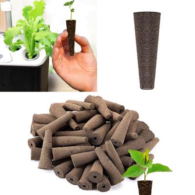 50Pcs Growing Sponge Loose Structure Aiding Germination Peat PH Balanced Root Growth Sponge Gardening Tool
