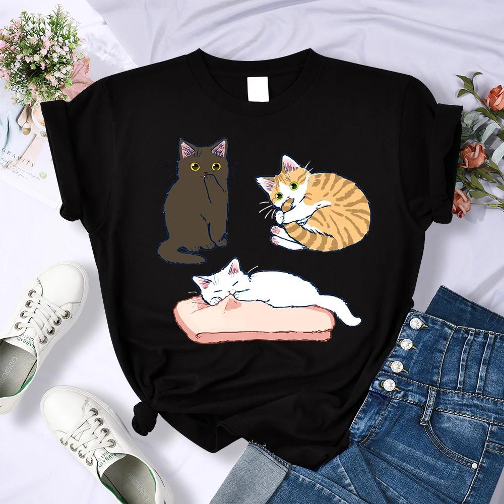 Mischievous Three Colored Kittens Print Women T Shirts Hip Hop Summer T Shirt Casual Comfortable Clothes Crewneck Soft Top