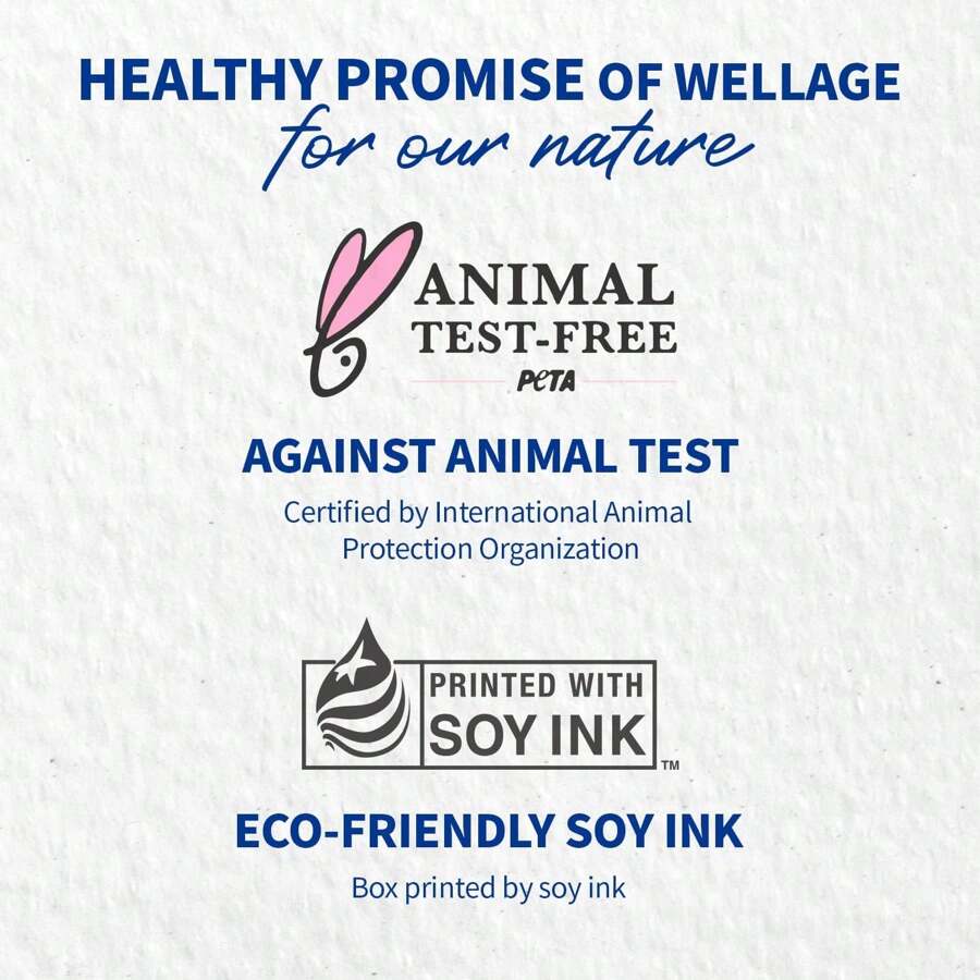 WELLAGE Real Hyaluronic Blue Toner Pad 210ml(70pc) – Korean Skincare Zero Pore Facial Pads 70 Sheets, Hyaluronic Water Jojoba