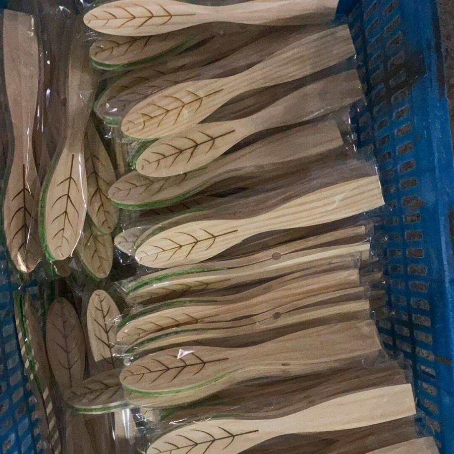 1Pc Portable Wooden Handheld Leaf Cleaning Brush, Creative Potted Plant Leaf Cleaner, Holiday Gift