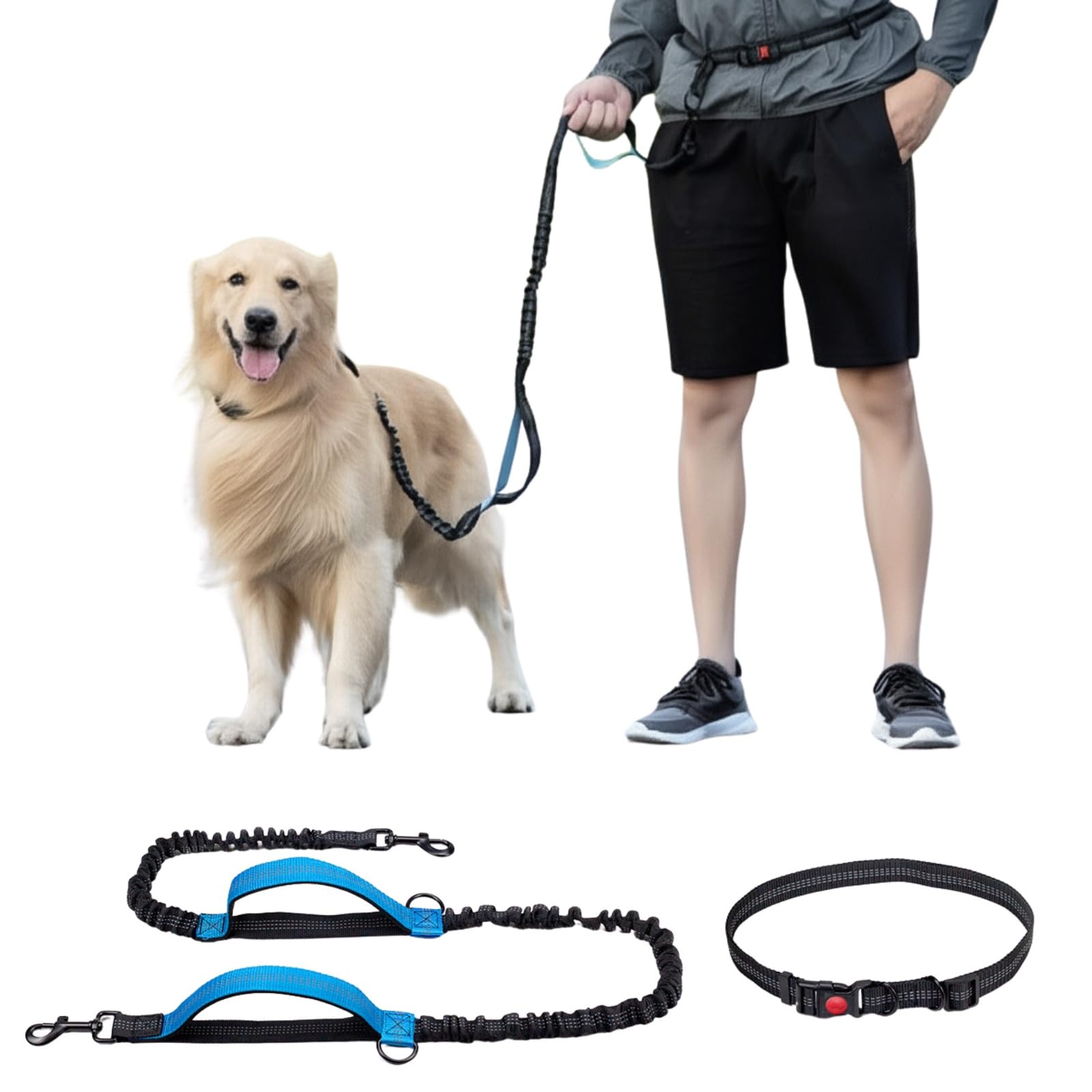 

Letics Dog for Running and for and Small Dogs Leash, Waist-Wrap, Hands-Free, Walking, Long, Extendable, Large, Medium, (Black & Blue)