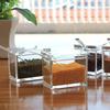 3/4 Grid Seasoning Jar with Spoon, Transparent Acrylic Sugar and Salt Box, Kitchen Spice Container, Kitchen Organization Storage