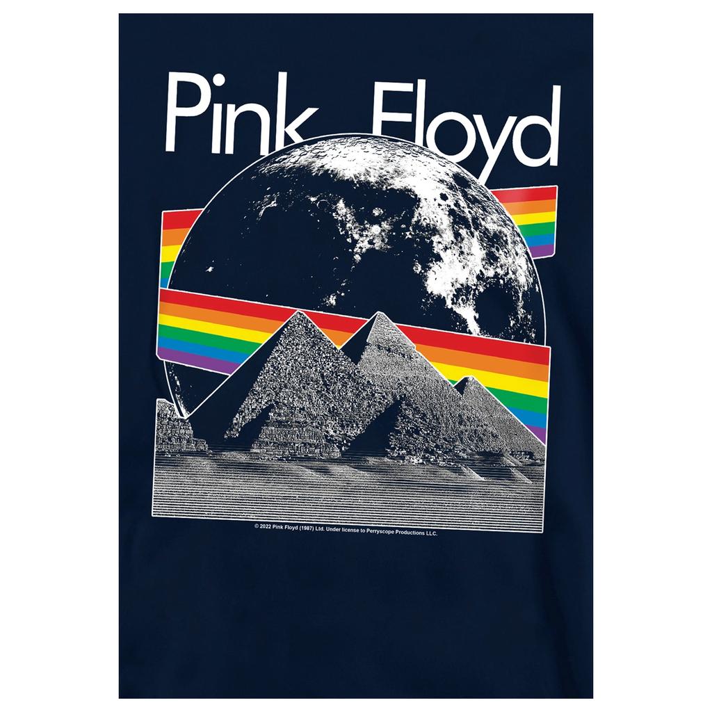 Pink Floyd Childrens/Kids Moon Hoodie