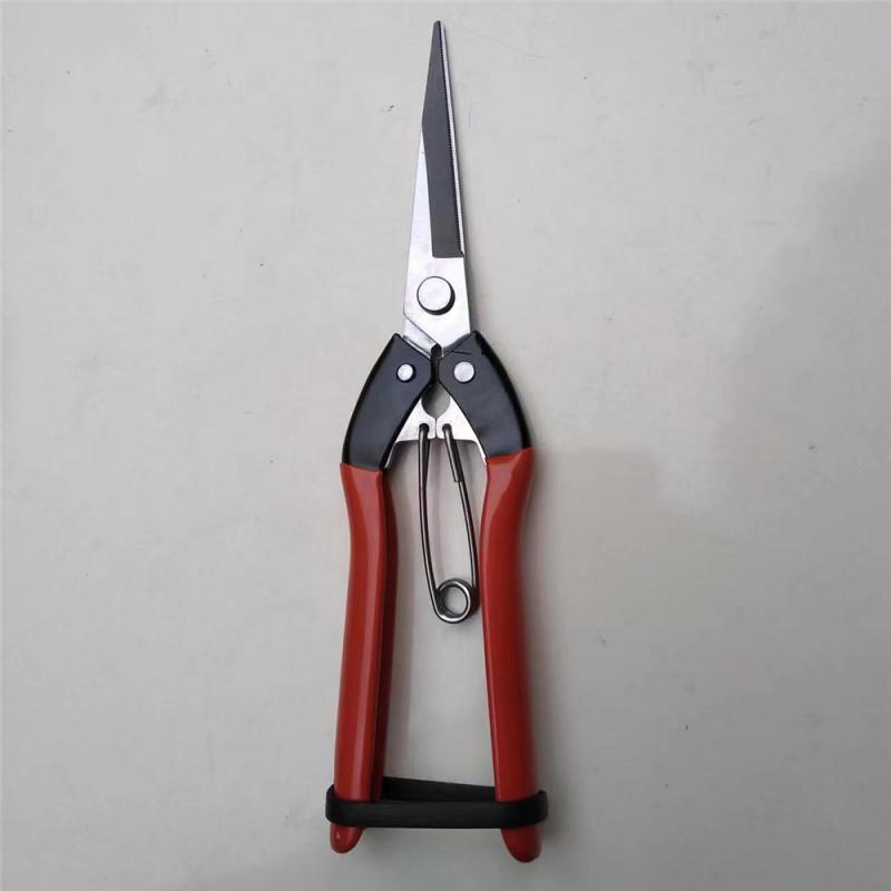 Pointed Scissors Convenient Ergonomic Design Non-slip Handle Fits The Palm Ease Of Use Flower Pruning Garden Fruit Shears Cozy