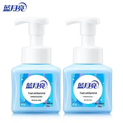 Blue Moon Foam Antibacterial Hand Soap