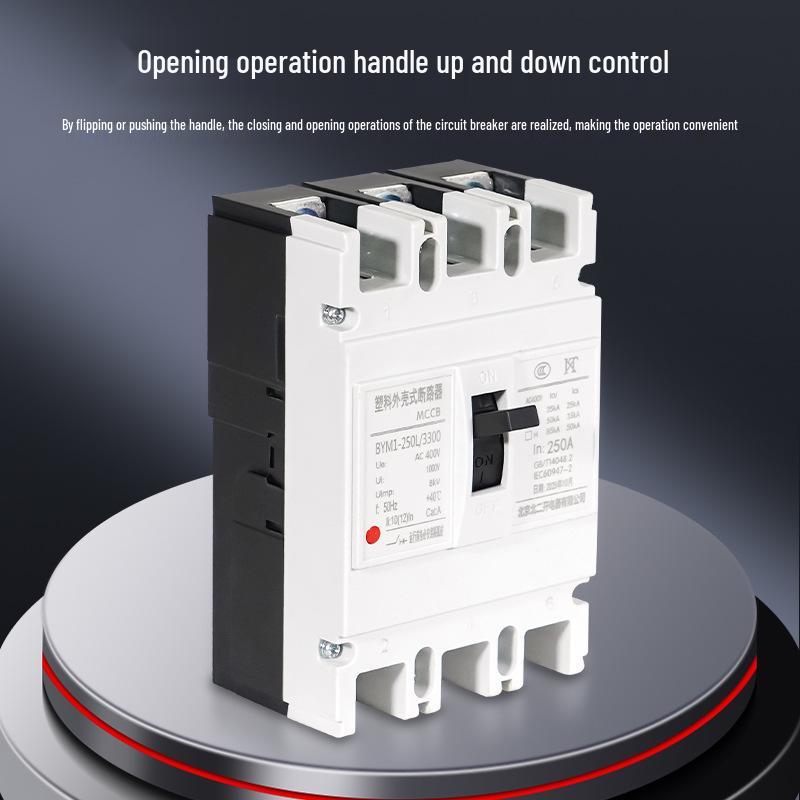 

BYM1-250L High Breaking Capacity Circuit Breaker, Fast Delivery Molded Case Air Switch BYM1-125L/3300