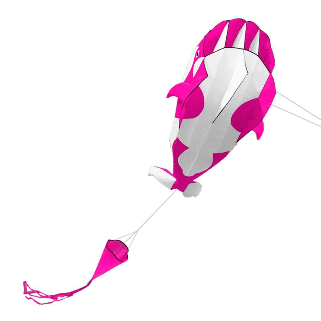 3D Kite Huge Frameless Soft Parafoil Giant Whale Flying Kite Frameless Kite Flying Kite Kite