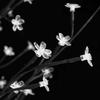 vidaXL LED-Baum mit Kirschblüten Warmweiß 672 LEDs 400 cm