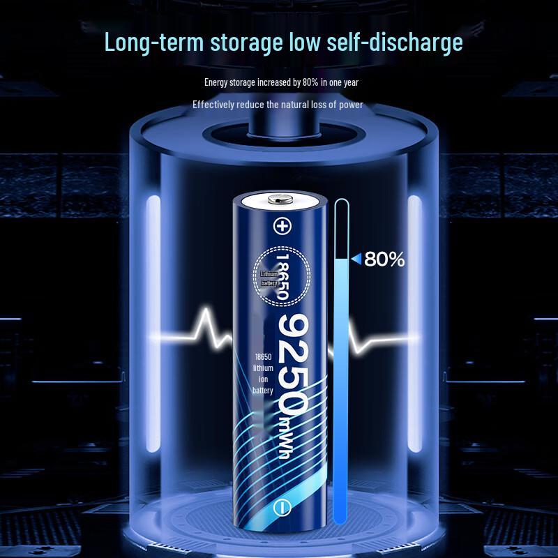 PADE 18650 9250mWh 3.7V Rechargeable Lithium Battery CN plug (adapter included)