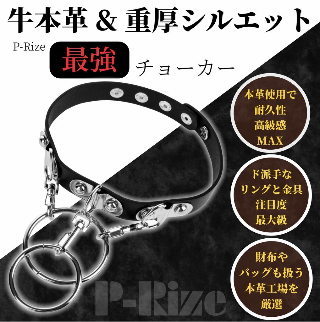 Genuine Cow Leather Choker Punk Black Heavy Lock Ring Type V Visual Gothic Landmine Sick Harajuku Collar Human Costume Cosplay [P-Rize] Women's Men's