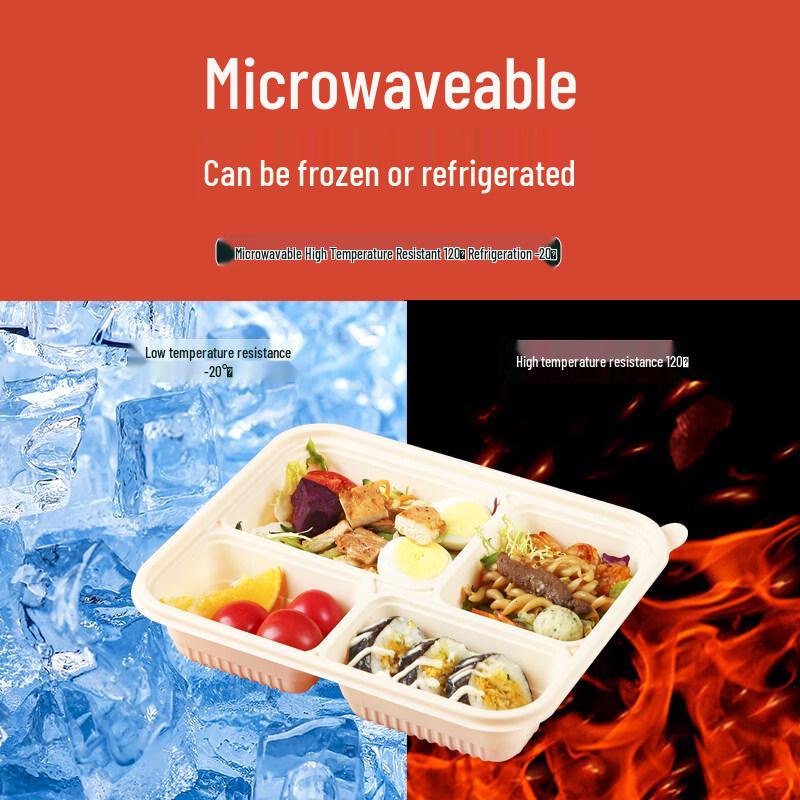 ZISIZ Biodegradable Disposable Food Container