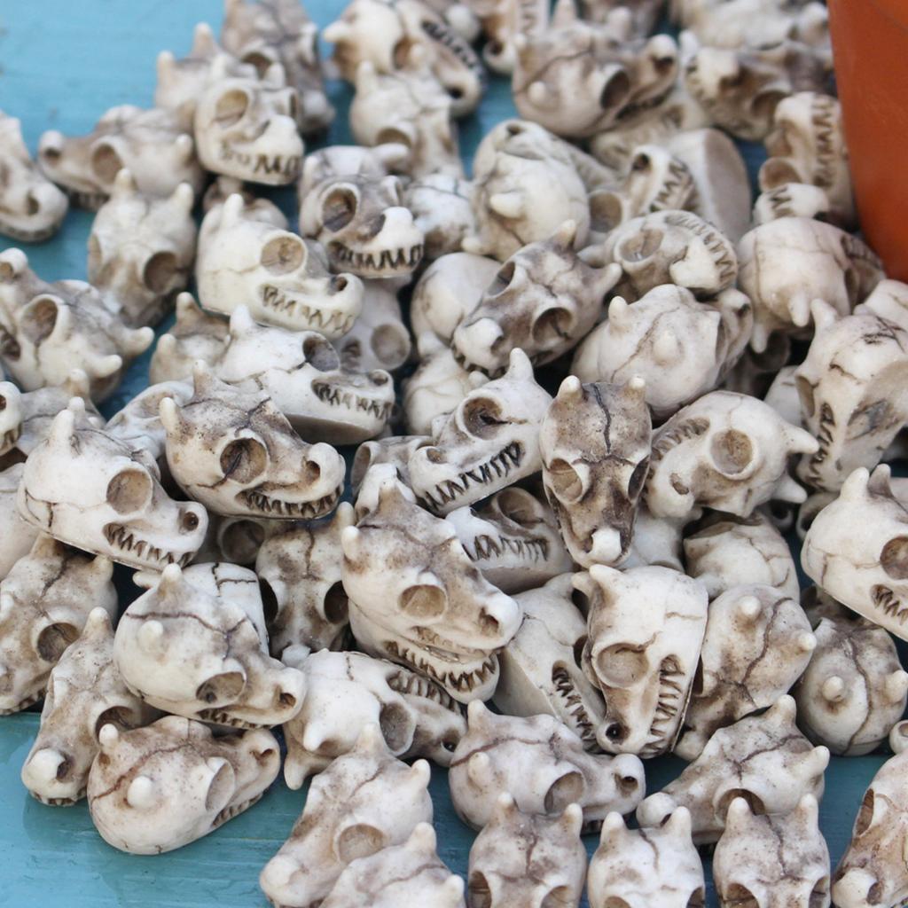 20Pcs Resins Dragon Skull Set for Home and Garden Decoration for Garden Pathway and Planter Decoration