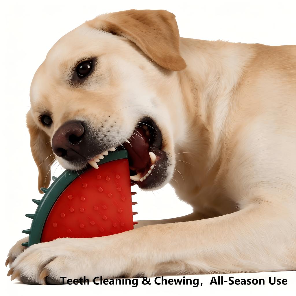 Squeaky Dog Toy Shape TPR Rubber for Chewing Interactive Play
