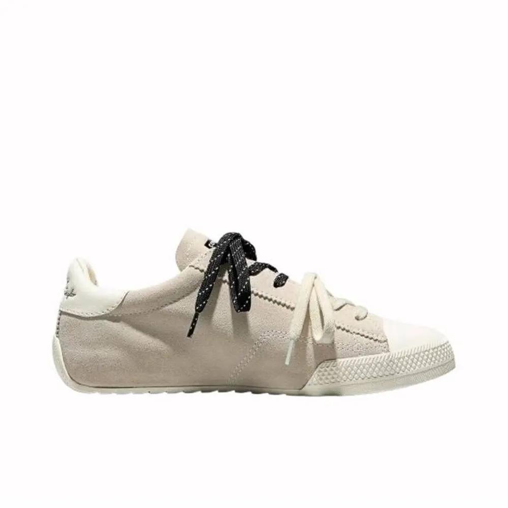 Converse CONVERSE Chuck Taylor Low Egret A16122C 245