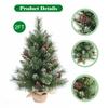 2FT Tabletop Christmas Tree Mini Artificial Christmas Tree with Battery Powered LED String Lights Natural Pine Cones