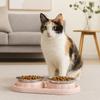 Stainless Steel Pet Food Bowl Leakproof Pet Dog Feeder Simple Dog Food Dispenser  For Cats Dogs