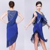 1920s Sequin Tassel Paisley Dress Girls Womens Costumes No Sleeve