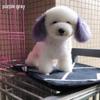 Bichon & Pomeranian White Hair Dye for Pets - Safe and Specialized Formula for Dogs