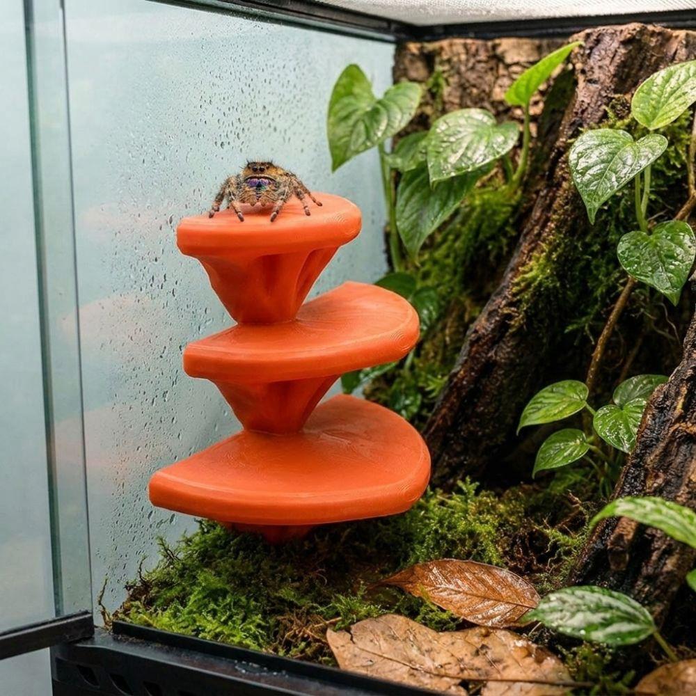 3D Printed Three Layer Mushroom Rack No-Drill Jumping Spider Platform  Terrarium