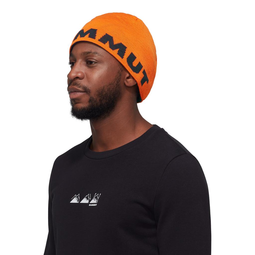 [Mammut] Logo Beanie 1191-04891 Arumita-night