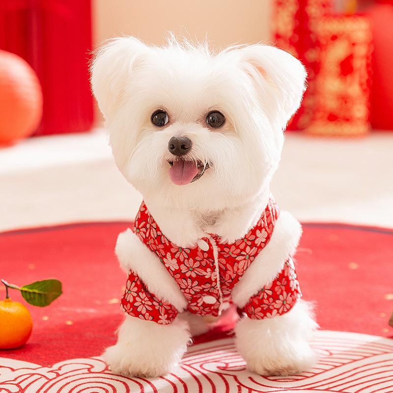 Year-old Safe Pet Warm Dog Clothes New Year West Highlands Festive New Year Greetings Than Bear Tang Suit Cat Cotton-padded Clothes