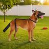 Outdoor Dog Tail Protection Protector, Breathable Pet Wrap, Adjustable Harness Easy Wash Brace with Guard for Dogs Wound Injury Recovery Safe Sleeve